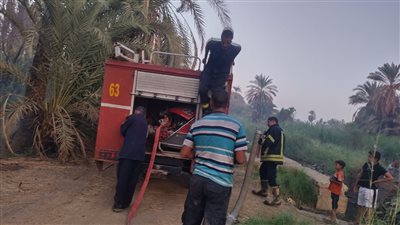 دون إصابات.. السيطرة على حريق مخزن علف للمواشي بأبو النمرس 