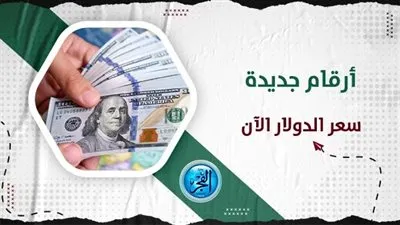 مباشر الآن.. سعر الدولار اليوم dollar price أمام الجنيه.. تطورات العملة الخضراء في البنوك