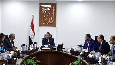 عاجل.. وزير التموين: اللحوم متوفرة في الأسواق وبأسعار مناسبة للجميع