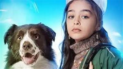 مشاهدة مسلسلات تركية 2023.. شاهد الآن رابط مسلسل أميرة بلا تاج الحلقة2