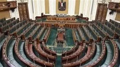 مجلس النواب يدرس مشروع قانون جديد لحماية المرأة من العنف