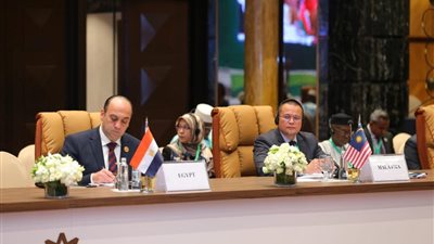 تجديد تكليف عمرو عادل رئيسًا لهيئة الرقابة الإدارية