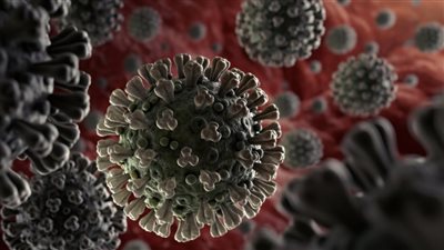 كندا تسجل أول إصابة بالسلالة 