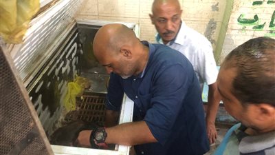 بيطري المنوفية: ضبط لحوم بلدية وأسماك غير صالحة