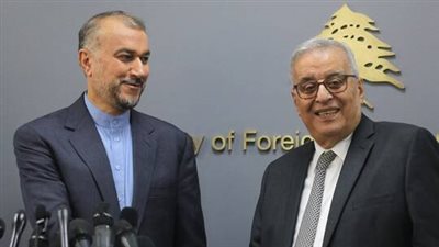 عبد اللهيان: مستعدون لحل أزمة الكهرباء في لبنان