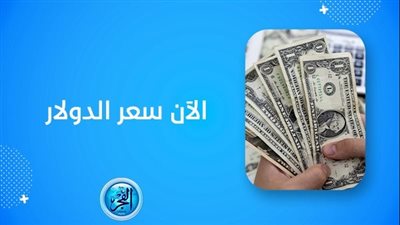 سعر الدولار اليوم Dollar Price محافظة الجيزة (مباشر الآن Live Now)