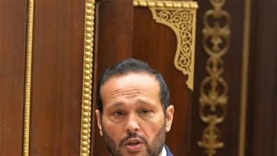  رئيس لجنة الصناعة والتجارة بمجلس الشيوخ: الإعفاءات الضريبية للقطاع الصناعي تزيد الإنتاج