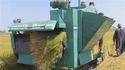 انطلاق موسم حصاد 404 آلاف فدان أرز بالدقهلية 
