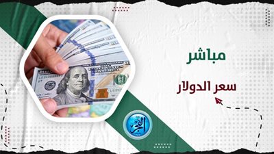 مباشر سعر الدولار أمام الجنيه السعر الرسمي.. تحديث جديد