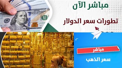 سعر الدولار ضد سعر الذهب.. صعود وهبوط بين أهم المعادن والعملات في مصر