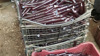 ضبط 32 ألف عبوة لوليتا مجهولة المصدر للأطفال في الغربية (صور)