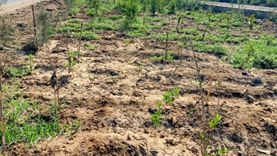 جهود الوحدات المحلية بالمنوفية في متابعة أعمال 