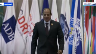 شهادة ثقة.. خبراء يشرحون دلالات مشاركة مصر في قمة العشرين