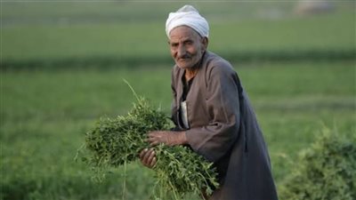 في عيده.. أبرز جهود الدولة المصرية لدعم الفلاح المصري 