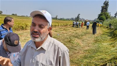 شاهد آراء مواطني الدقهلية في خروج الأرز من التموين وتحديد سعره