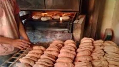 غلق 7 مخابز بلدية بالمنوفية لمخالفتهم الاشتراطات واللوائح