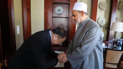 شيخ الأزهر يحذر من توجه عالمي يستهدف هدم منظومة الأسرة لدى الأطفال