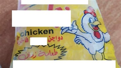 ضبط كميات كبيرة لفراخ مذبوحة خارج المجزر قبل بيعها للمواطنين في بورسعيد