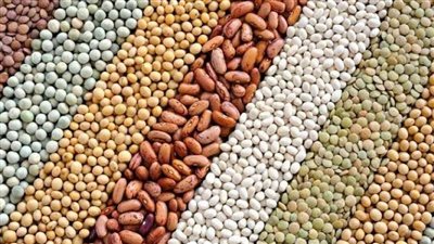 بشرى سارة بشأن سعر الفول البلدي اليوم الأربعاء 13 سبتمبر 2023