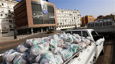 توزيع شنط مواد غذائية لـ 20 ألف أسرة في أسوان ضمن مبادرة 