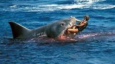 بعد تعرض أحد المصيفين لهجوم سمكة قرش بمدينة دهب وزارة البيئة تعلن إغلاق أحد الشواطي السياحية وترفع حالة الاستعداد (تعرف على التفاصيل)