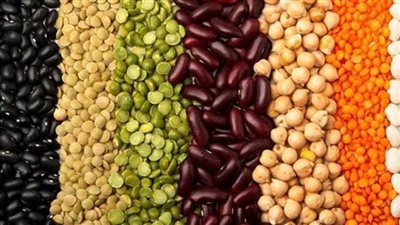 أسعار البقوليات اليوم الأربعاء 27-9-2023 في الدقهلية