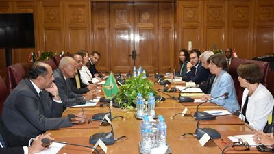 أبو الغيط يؤكد لوزير خارجية فرنسا أهمية الاعتراف بالدولة الفلسطينية المستقلة