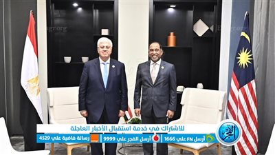 عاشور يعقد عدة اجتماعات مع كبار المسؤولين بعدد من الدول الإفريقية 