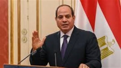 انتخابات الرئاسة المصرية.. موعد إجرائها وإعلان نتائجها وشروط الترشح وأبرز المرشحين 