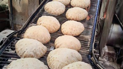 تموين الإسكندرية تشن حملات مكبرة على المخابز والأنشطة المختلفة