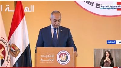 الوطنية للانتخابات: إنشاء لجان فرعية بجميع المحافظات لتمكين المغتربين من التصويت (فيديو)