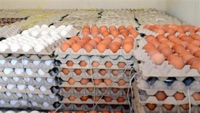 سعر البيض اليوم 21-9-2023 Eggs Price قبل بدء العام الدراسي 2023/2024 في مصر