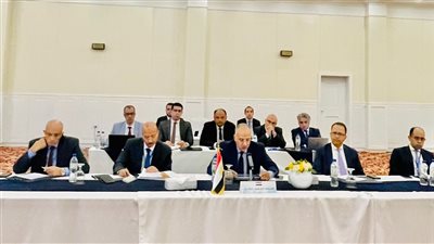 وزير الري: استمرار إثيوبيا في ملء سد النهضة دون اتفاق انتهاك لإعلان المبادئ 2015