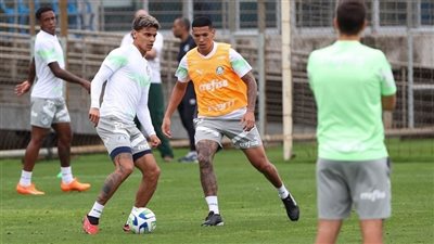 اعتقال 28 مجرمًا في نادي بالميراس