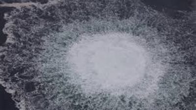 إعلام ألماني: ظهور تفاصيل جديدة عن المتهم في قضية تفجير 