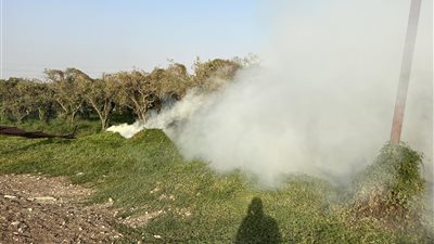 السيطرة على حريق داخل أرض زراعية بمنطقة كفر الأربعين ببنها