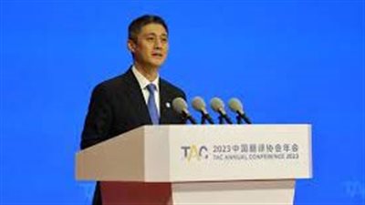 آن مينج: انضمام مصر لقمة بريكس سيعزز علاقاتها مع الصين