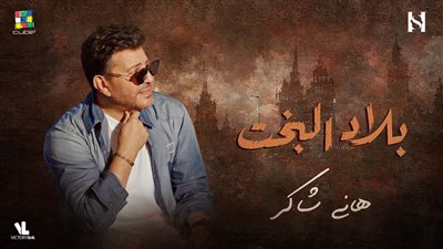 شاهد/ بالفيديو.. 