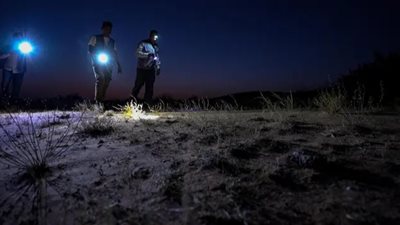 هيئة تطوير محمية الملك عبدالعزيز الملكية ترصد تنوعها الأحيائي عبر أفضل البرامج المتخصصة