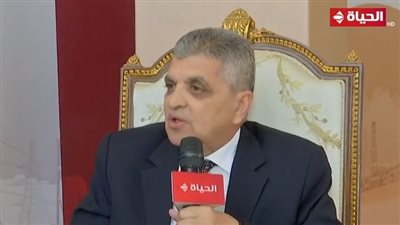 هل ستتأثر قناة السويس بإنشاء سكة حديد لنقل البضائع؟.. رئيس الهيئة يوضح
