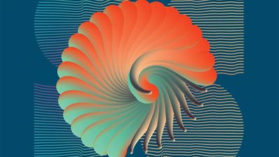 في نسخته الثانية.. انطلاق فعاليات مهرجان الداو الدولي للفنون بالغردقة اليوم