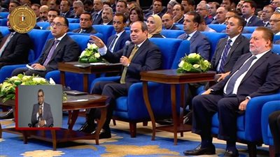 تعليق مهم من الرئيس السيسي بشأن إحياء شركتي “قها” و