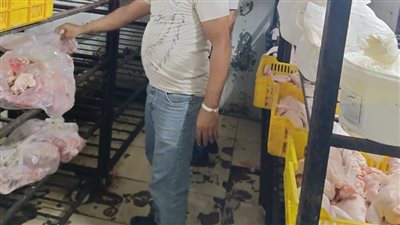 محافظة الجيزة تضبط 9.5 طن لحوم مذبوحة خارج المجازر ولحوم مستوردة ودواجن غير صالحة