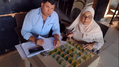 تموين الدقهلية: ضبط 21 مخالفة متنوعة في مجال المخابز والسلع