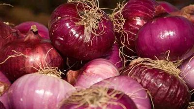 رئيس شعبة الخضروات والفاكهة يزف بشرة سارة بشأن أسعار البصل