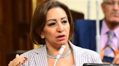 فيديو| مها عبد الناصر لـ 