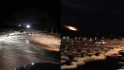 السيول دخلت المنازل وغطت السيارات.. أصعب ليلة في حياة أهالي مطروح: 