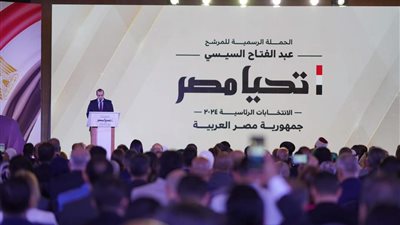 رئيس حملة السيسى: مستعدون للتعاون مع جميع المرشحين للخروج بمشهد يليق بمصر