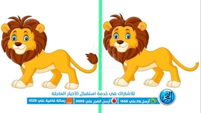 لغز لأقوياء الملاحظة … في ١٥ ثانية أوجد الاختلاف بين الصورتين