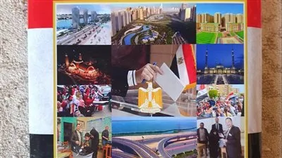 نائب رئيس مجلس الدولة: المشاركة الشعبية فى الانتخابات الرئاسية ضمانة لاَمن واستقرار الوطن 